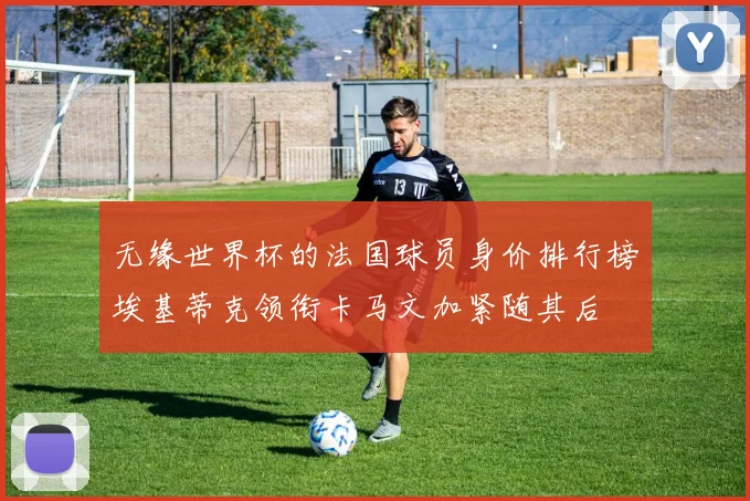 无缘世界杯的法国球员身价排行榜埃基蒂克领衔卡马文加紧随其后