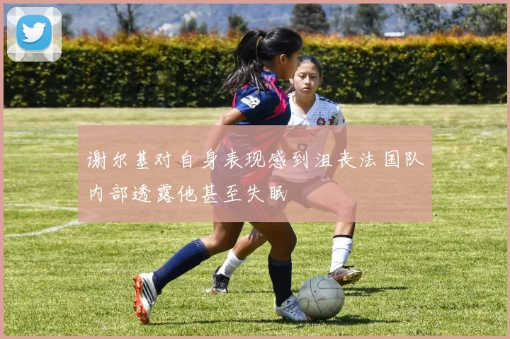 谢尔基对自身表现感到沮丧法国队内部透露他甚至失眠